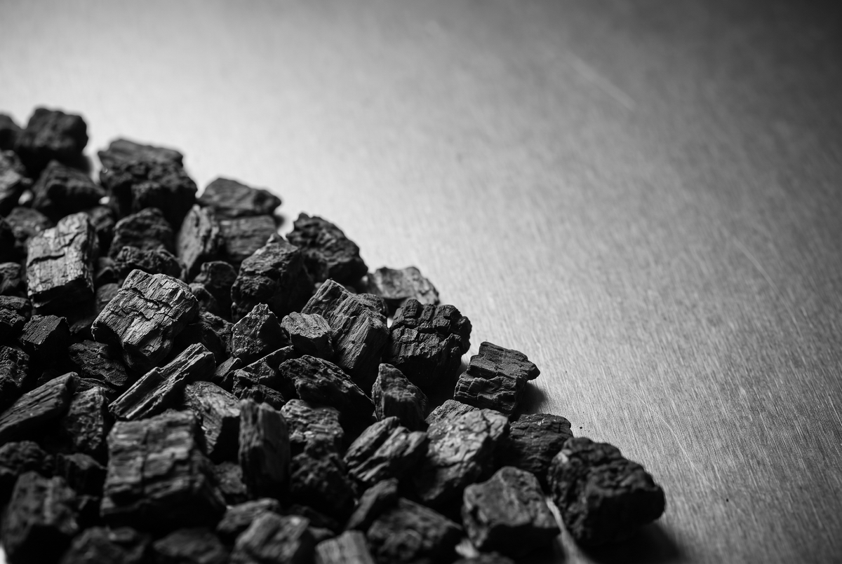 Copeaux d'écorce de chaga sombres et irréguliers rassemblés en amas serré sur une tôle grise brossée