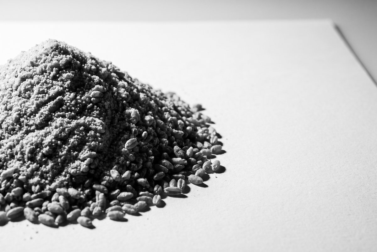 Semoule de blé dur crue versée en tas conique sur une feuille de papier mat blanc, en lumière rasante