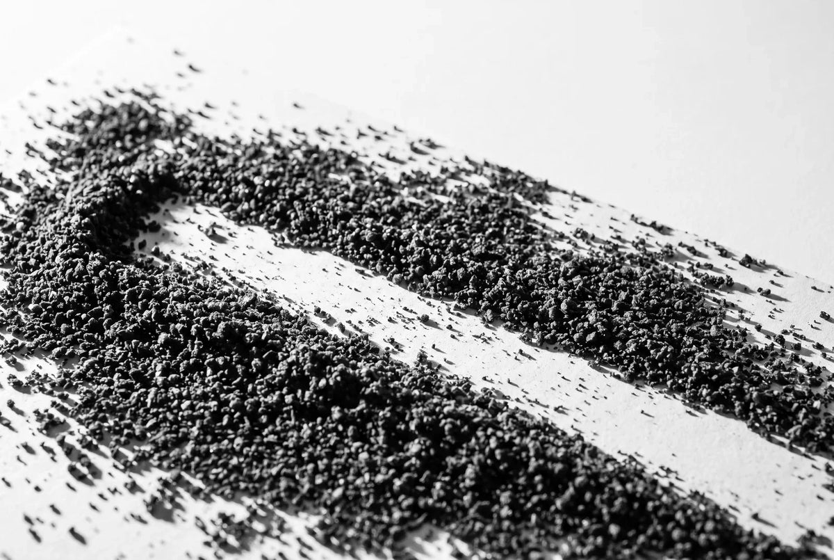 Café fraîchement moulu étalé en nappe mince sur du papier mat blanc, traversé par une bande raclée qui laisse voir le papier